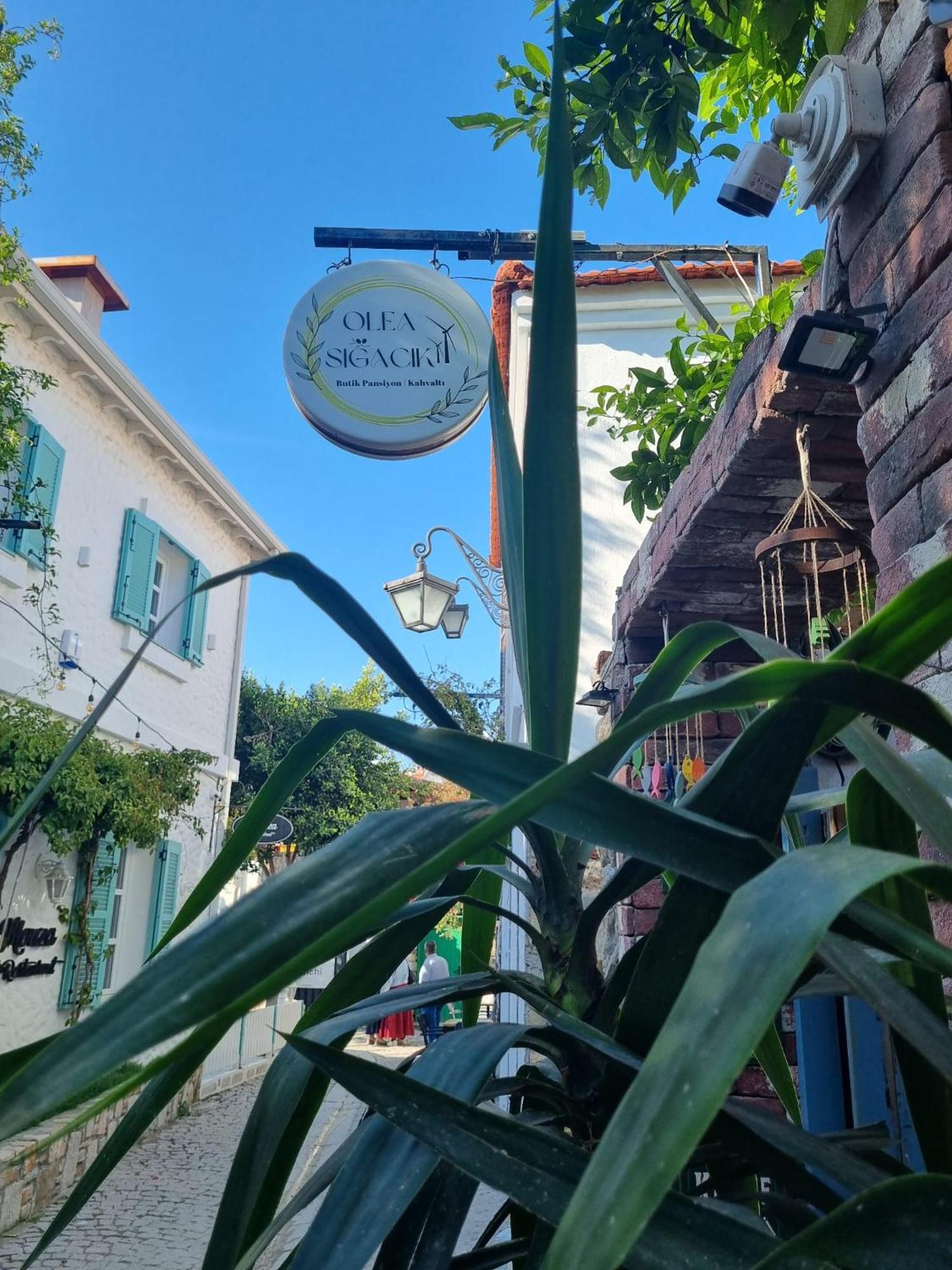 Pangea Sığacık Pansiyon&Bistro Seferihisar Dış mekan fotoğraf